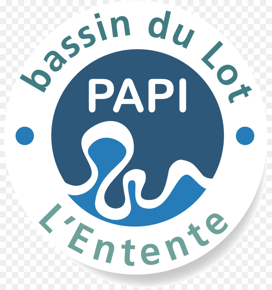 Logo，Organización PNG