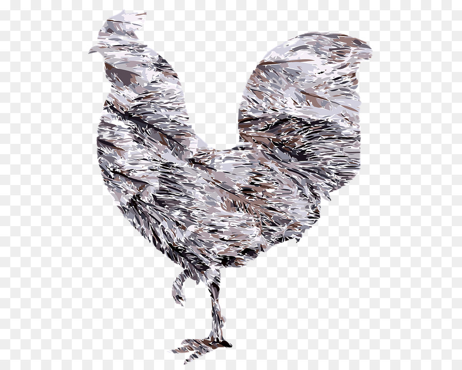 Gallo，Sueco Flor De Gallina PNG