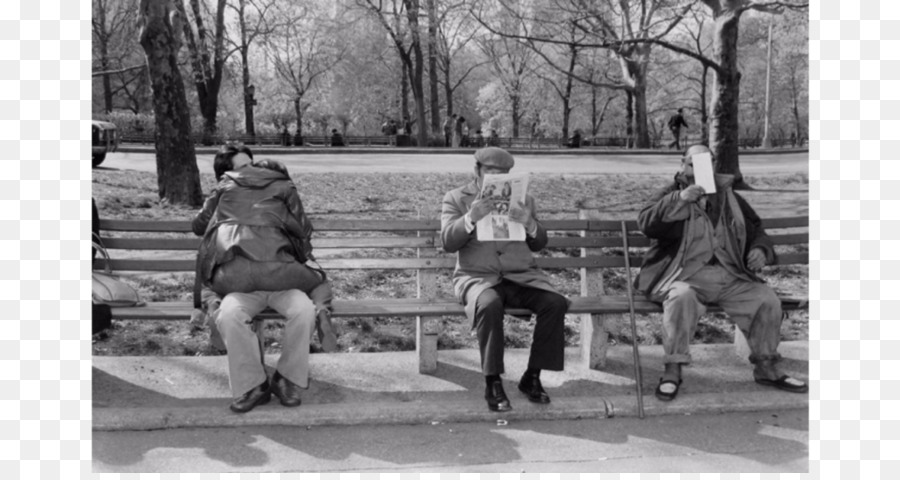 Pasando A Través De Eden Fotografías De Central Park，Central Park PNG