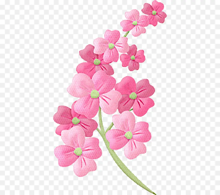 Flores Rosadas，Florecer PNG