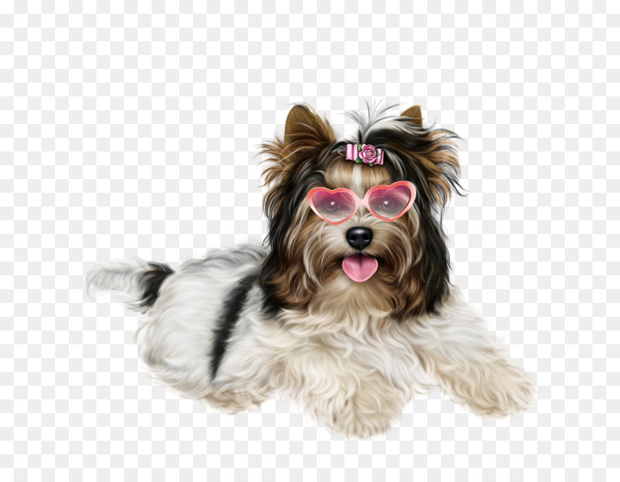 Perro Con Gafas De Sol，Lindo PNG