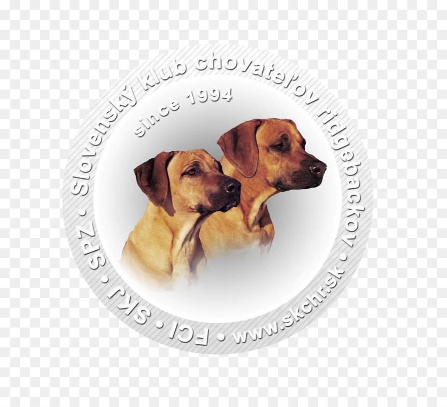 Raza De Perro，Ridgeback Ridgeback PNG