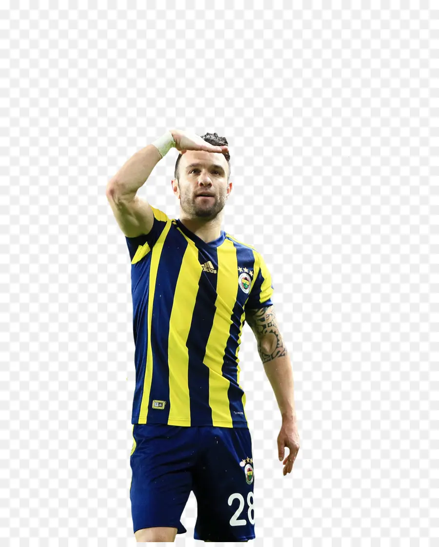 Mathieu Valbuena，El Fenerbahçe Sk PNG