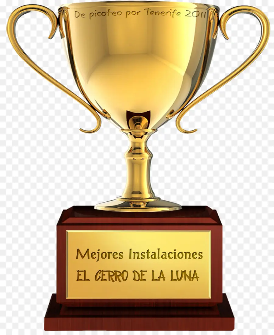 Premio，Medalla PNG