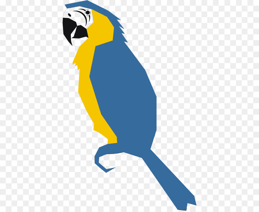 Loro，Budgericar PNG