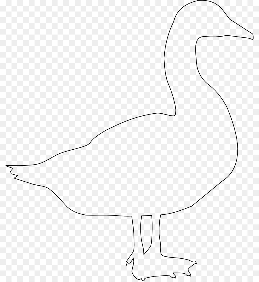 Pato，Ganso PNG