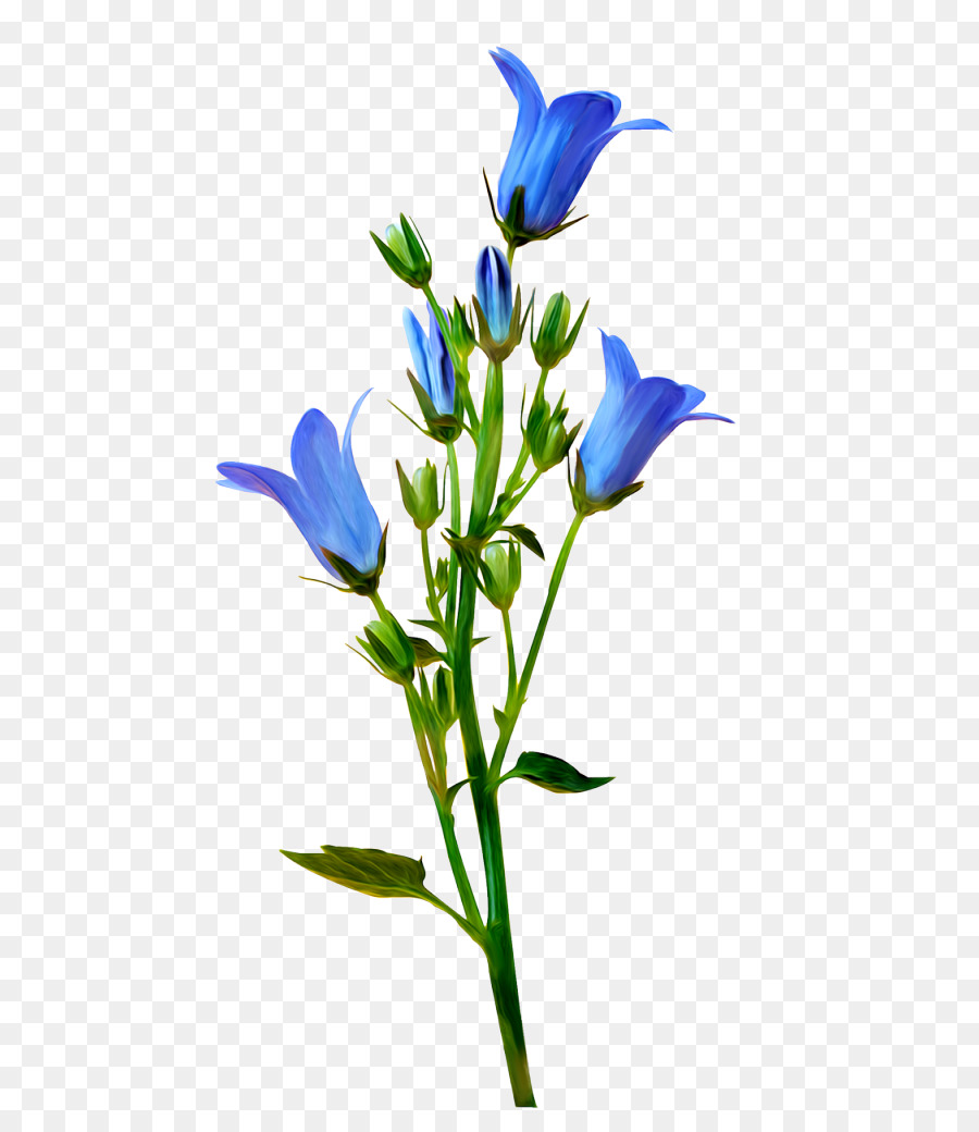 Flor，Yandex PNG