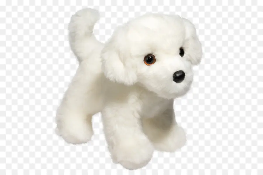 Poodle Estándar，Bichon Frisé PNG