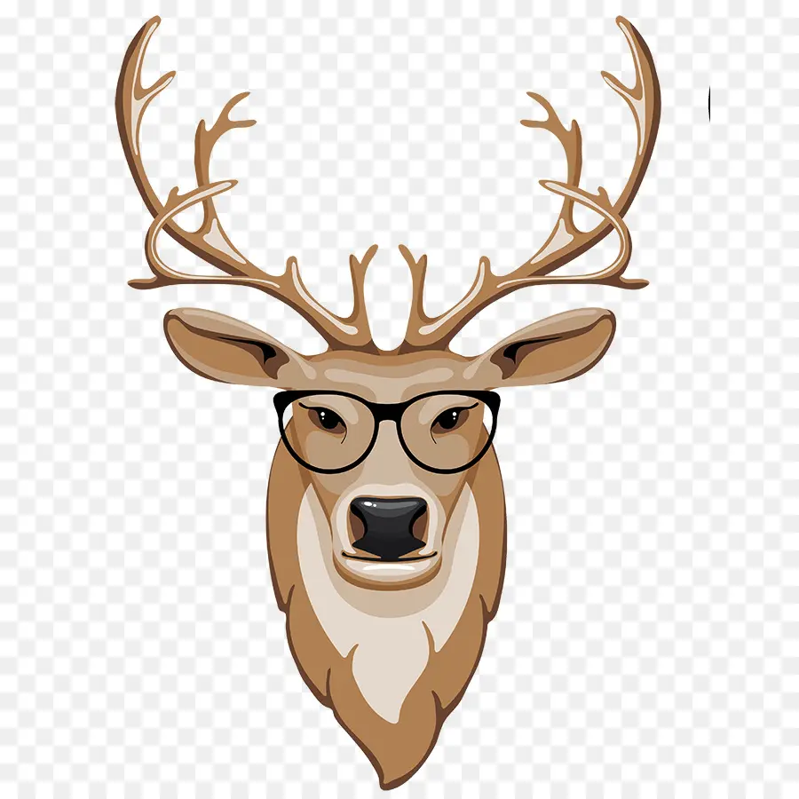 Cabeza De Venado，Animal PNG