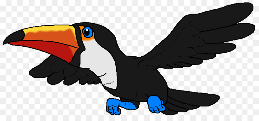 Toco Toucan，Pico PNG