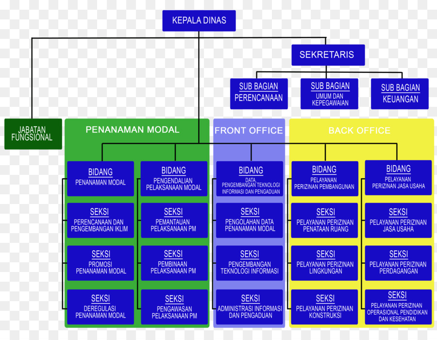 Organización，Estructura De La Organización PNG