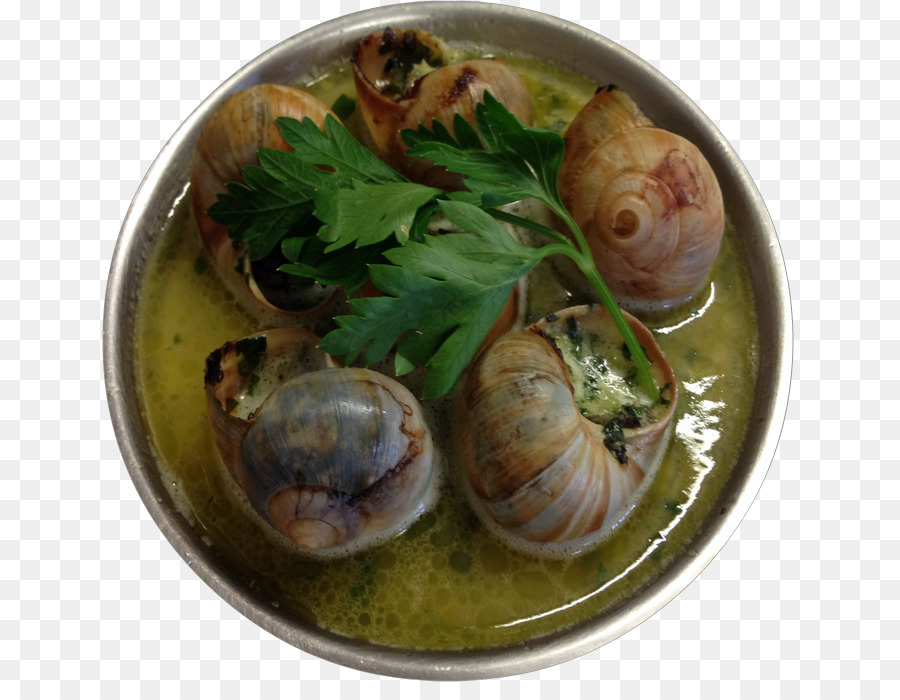 Escargot，Almeja PNG