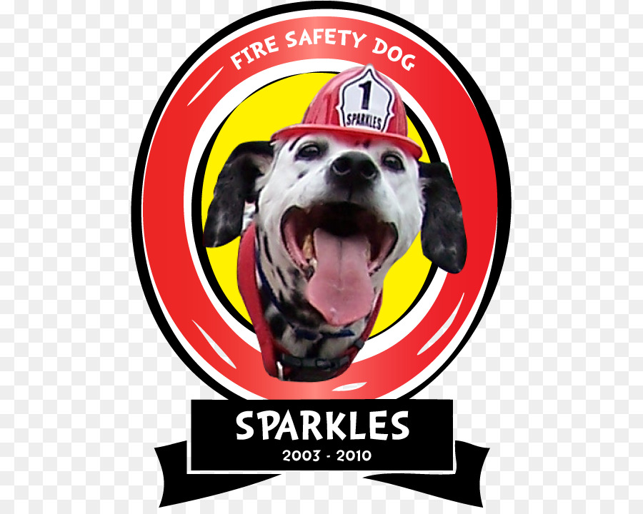 Seguridad Contra Incendios，Perro Dálmata PNG