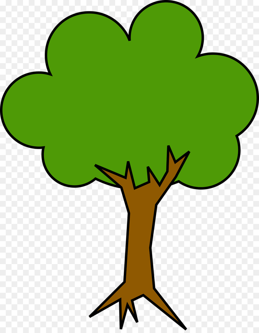 La Sombra，árbol De Sombra PNG