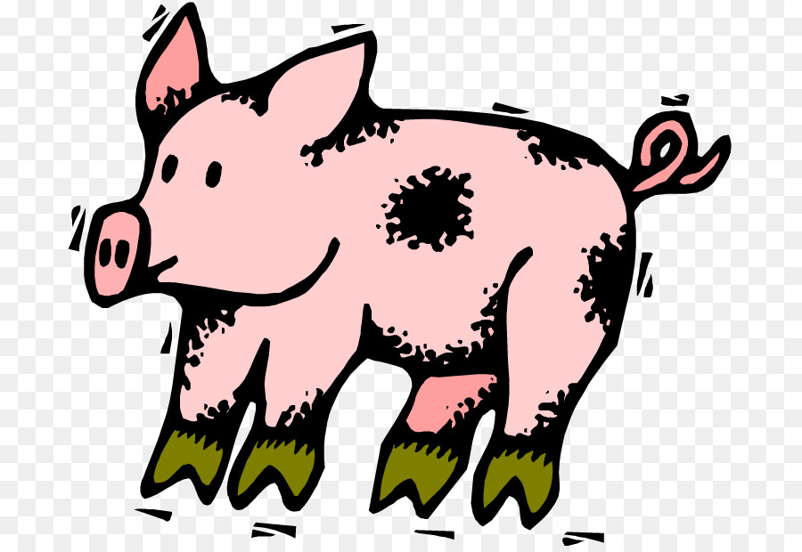 Cerdo，Dibujo PNG