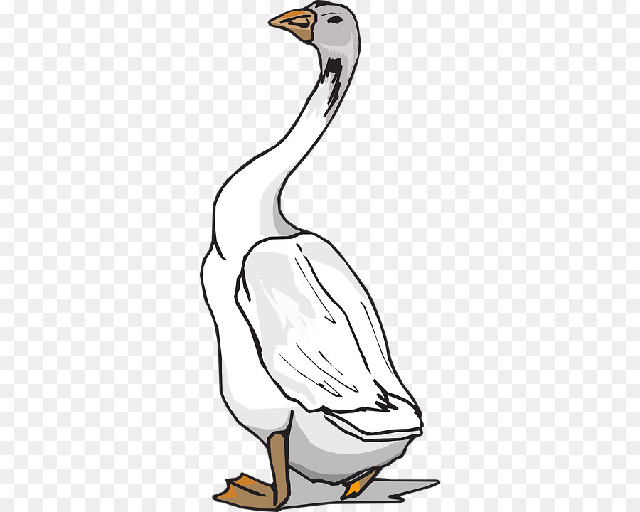 Pato，Ganso PNG