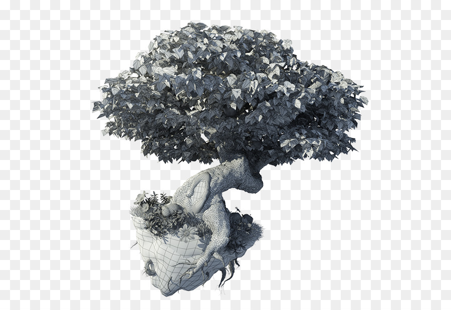 Árbol Bonsái，Miniatura PNG