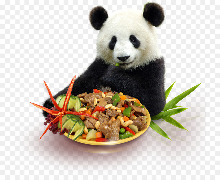 El Panda Gigante，Oc Varyáda PNG