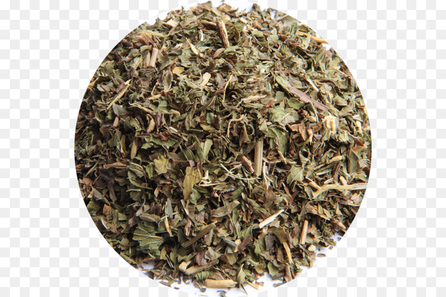 La Pólvora De Té，Té Verde PNG