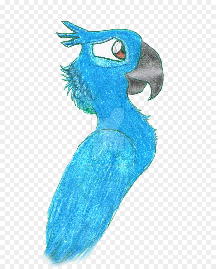 Loro Azul，Pájaro PNG