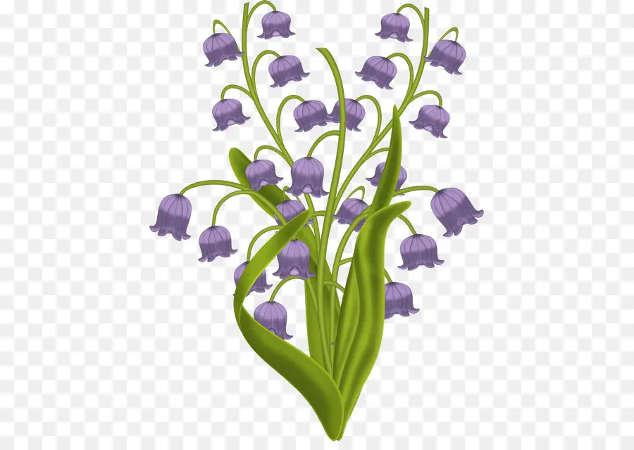 Flores Moradas，Florecer PNG