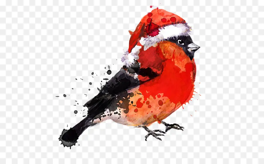 Pájaro，Pintura De Acuarela PNG