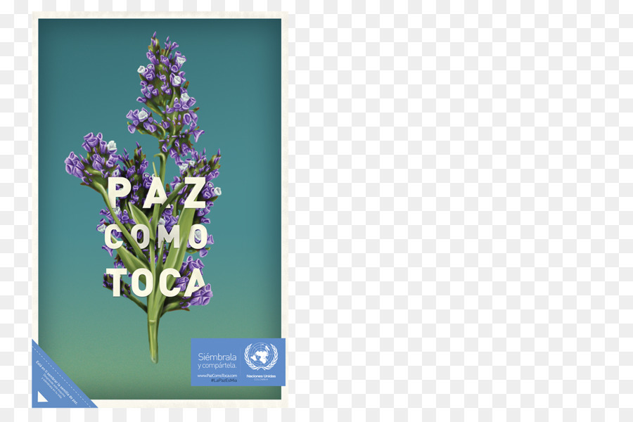 Diseño Floral，Fondo De Escritorio PNG