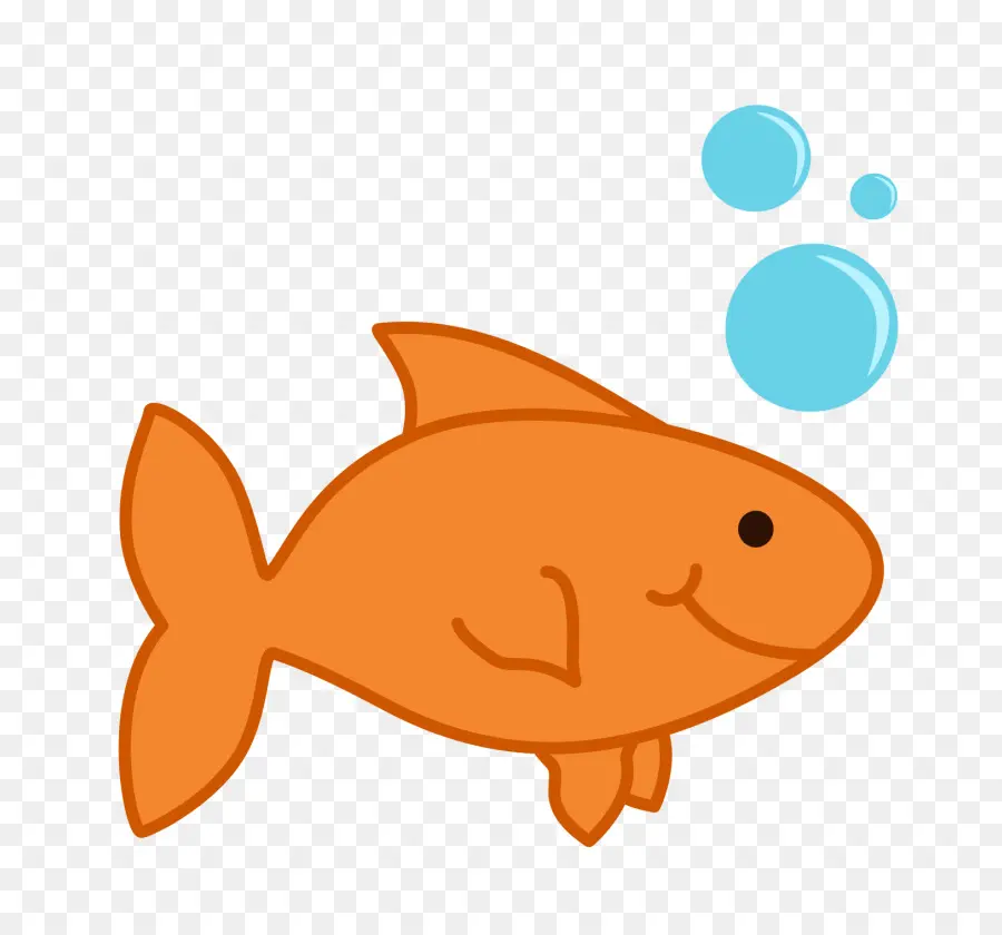 Pez，Acuario PNG