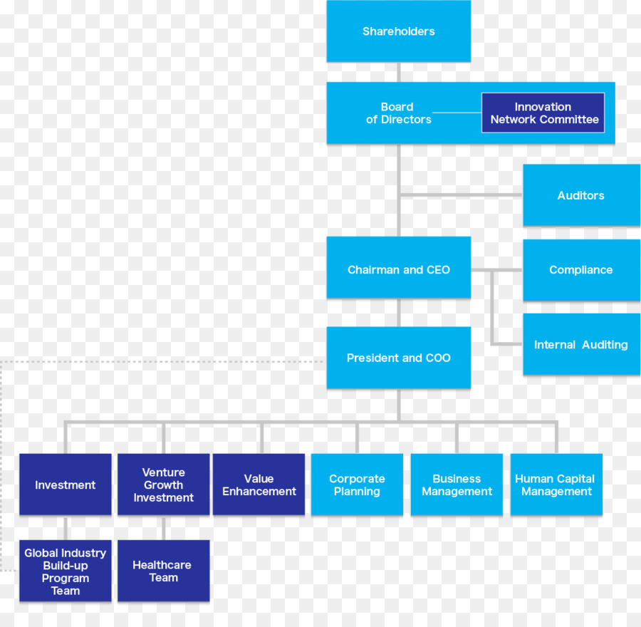 Organización，Estructura De La Organización PNG