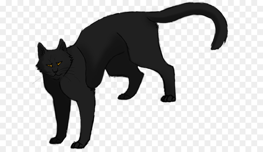 Gato Negro，Felino PNG