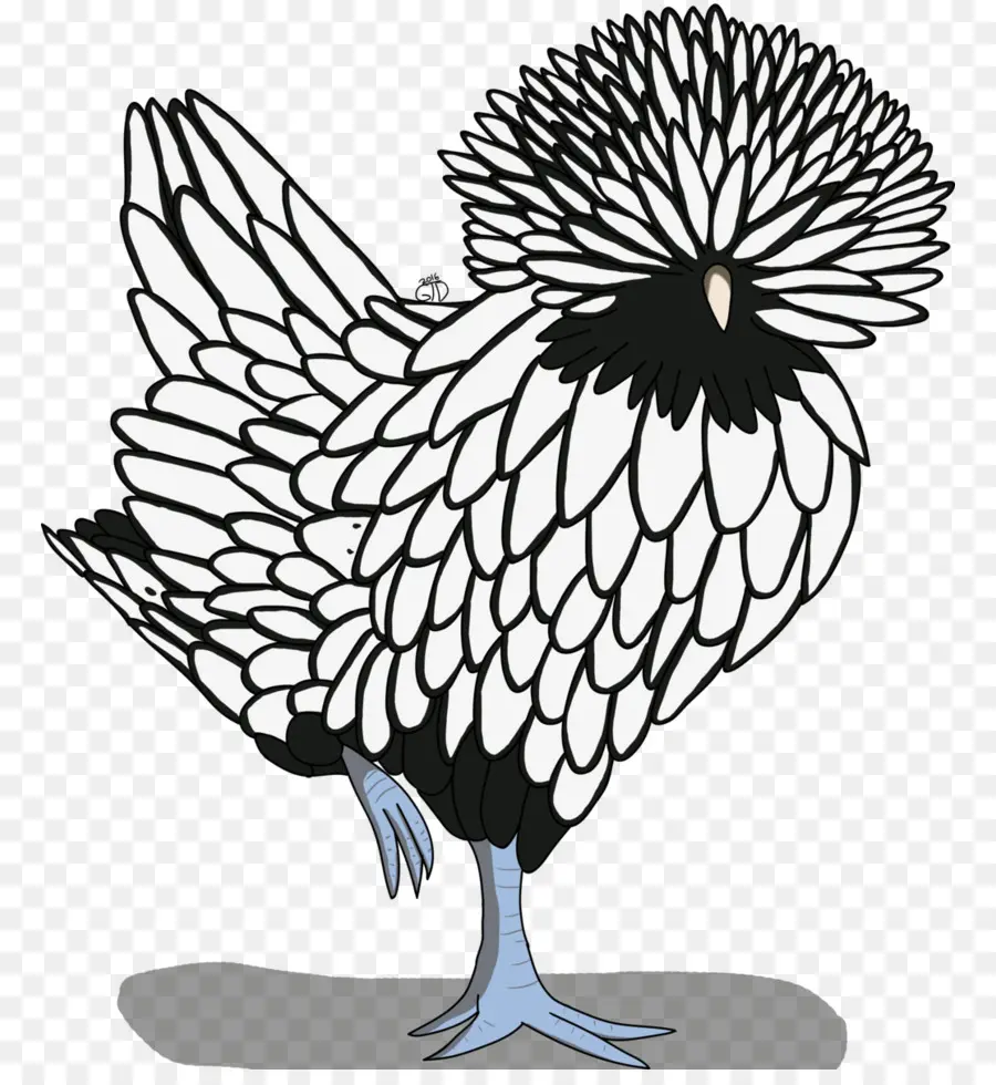 Pollo，Pájaro PNG