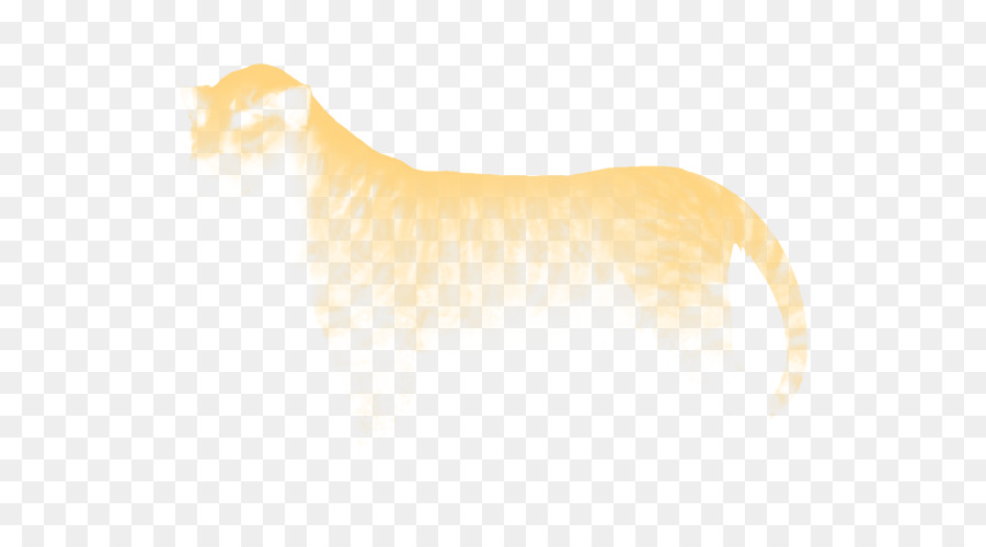 Canidae，Gato PNG