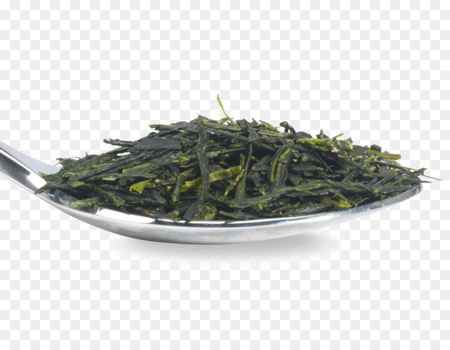 Gyokuro，Nilgiri Té PNG