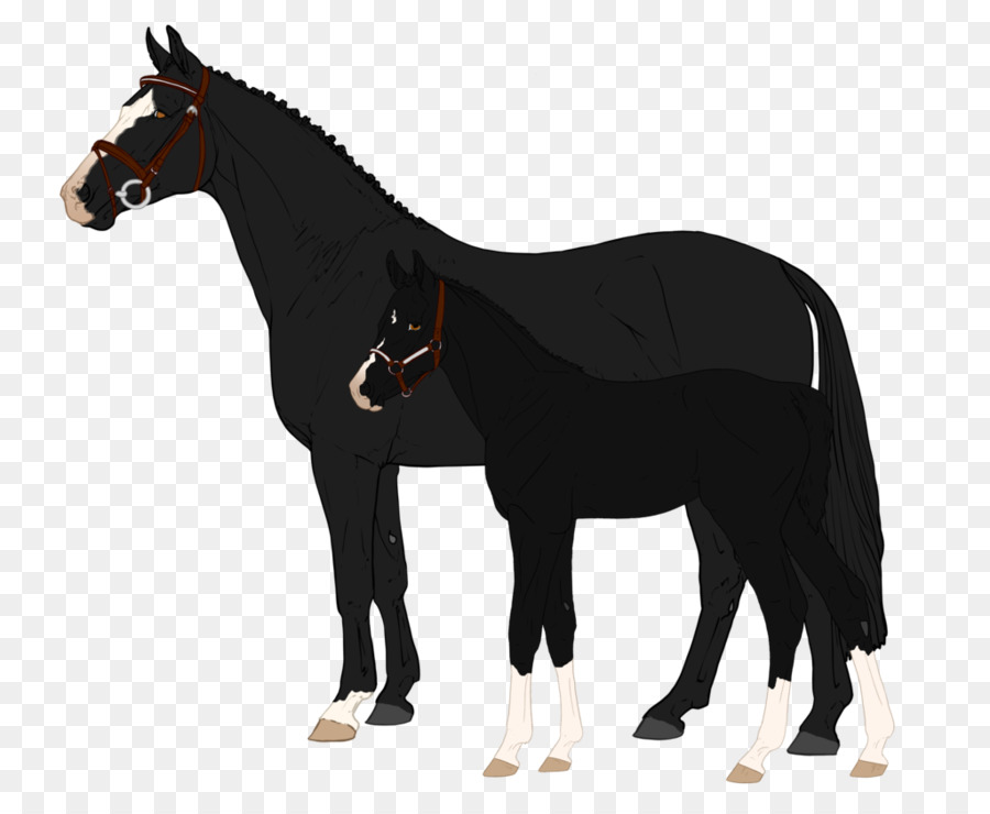 Mustang，Pony PNG