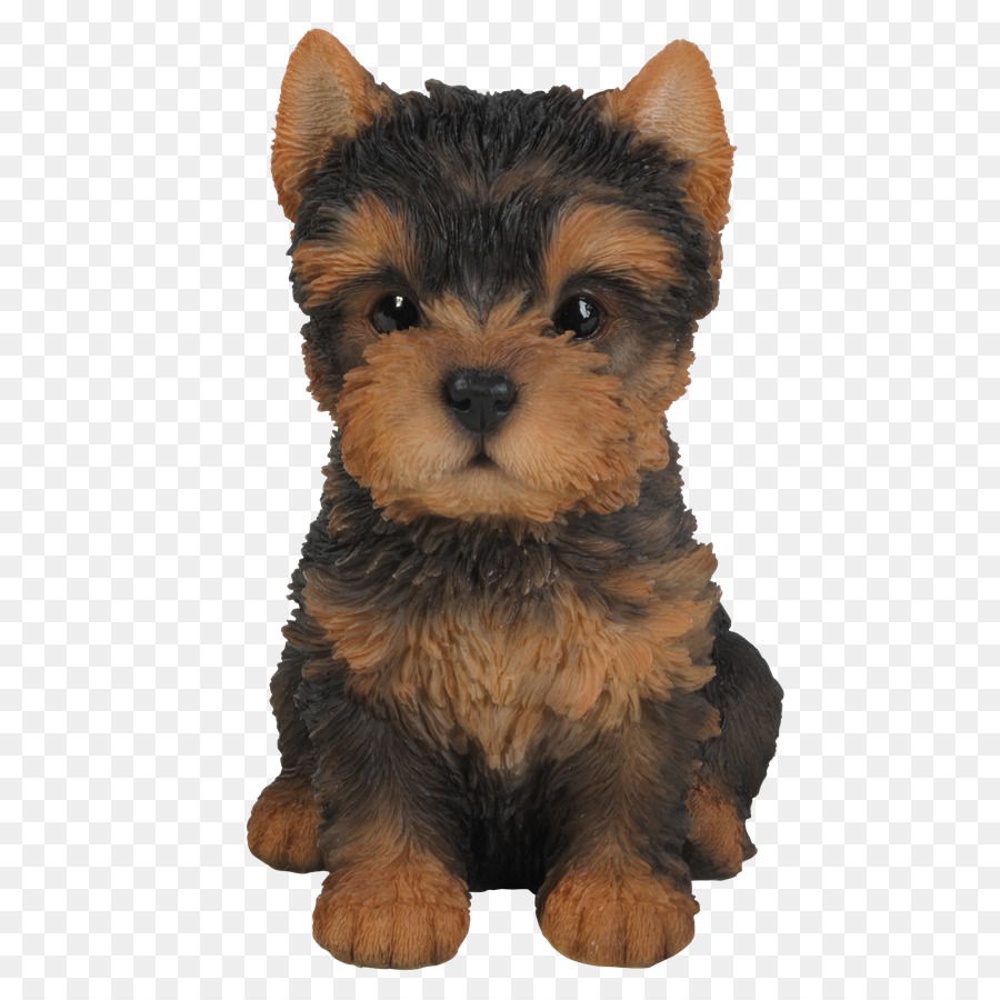 Cachorro，Perro PNG