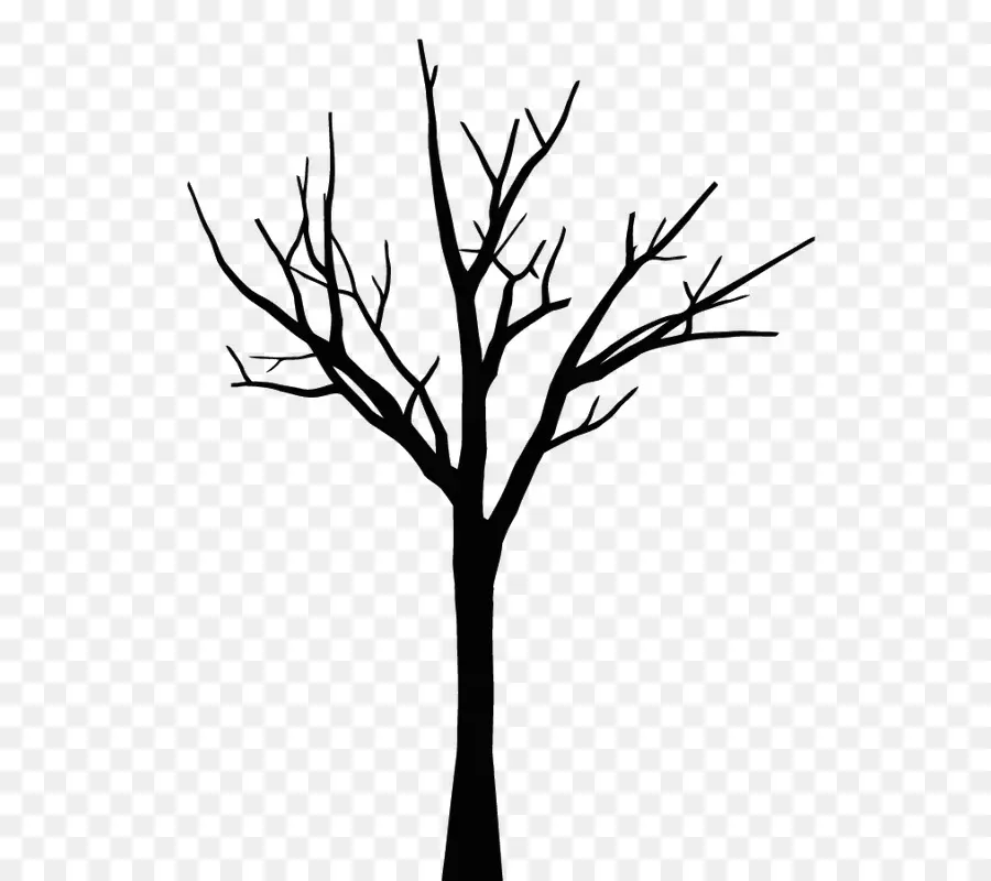 Árbol Bonsái，Silueta PNG