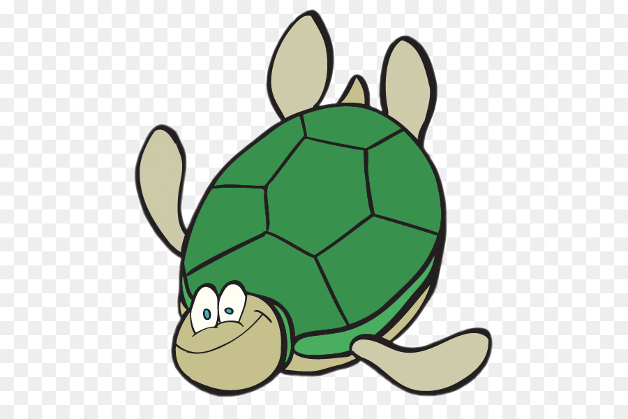 Tortuga，Tortuga De Mar PNG