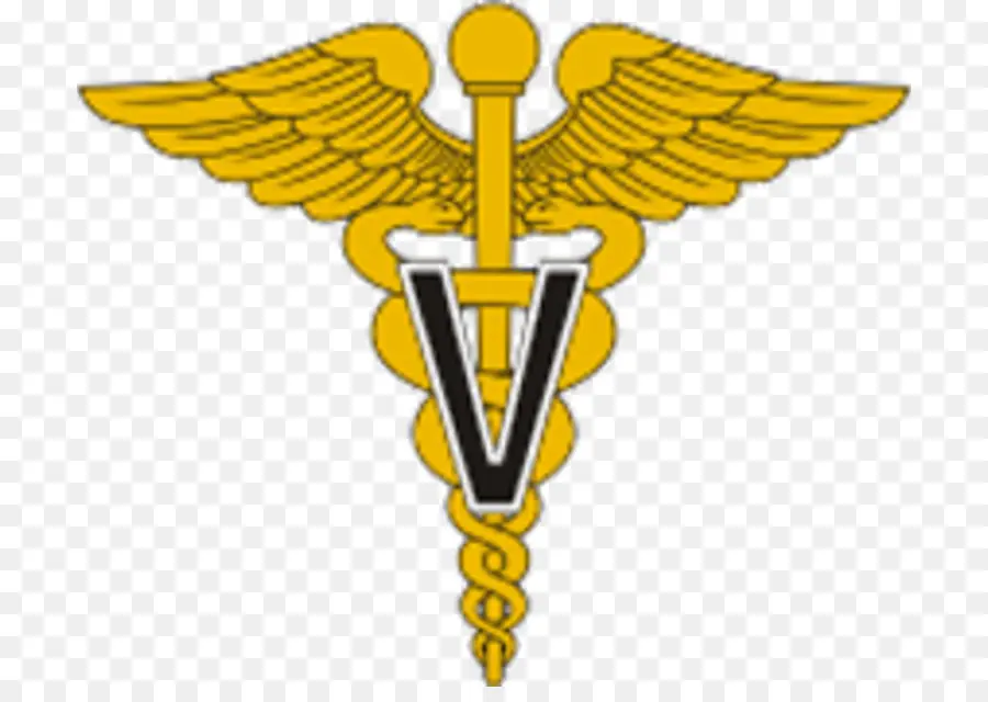Estados Unidos，Ejército De Los Estados Unidos Cuerpo De Enfermería PNG
