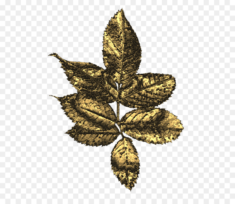 Hoja De Otoño，Naturaleza PNG