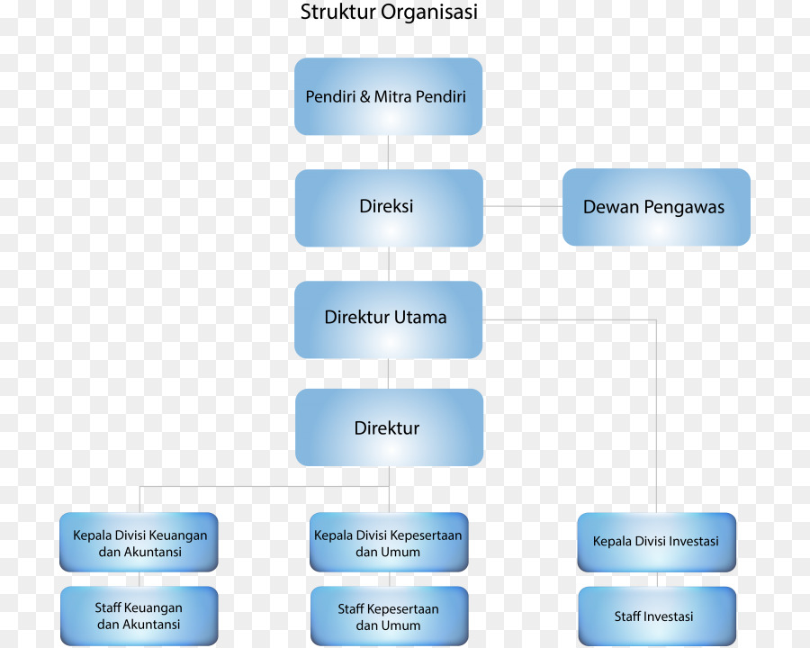 Organización，Estructura De La Organización PNG