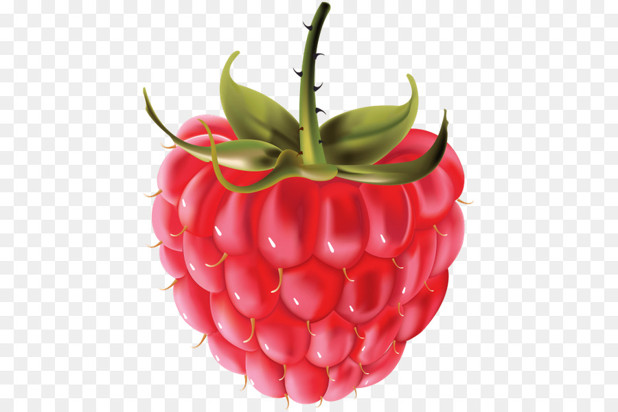 Frambuesa，Berry PNG