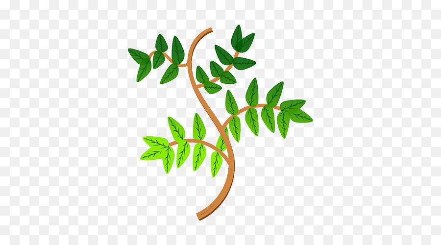 Planta，Hojas PNG