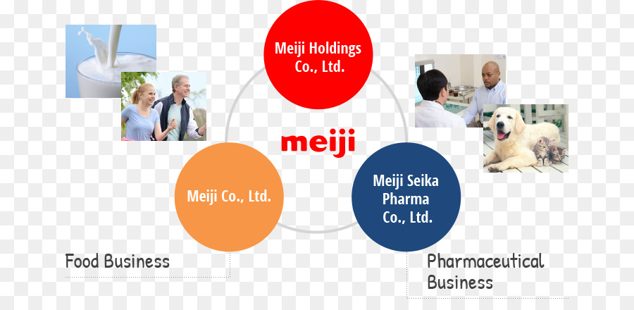 Periodo Meiji，Meiji Holdings Co Ltd PNG