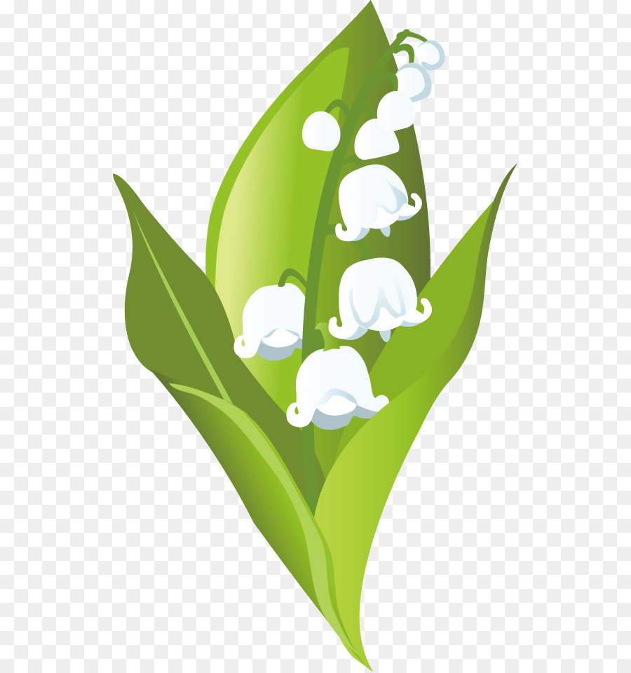 Naturaleza，Nube PNG