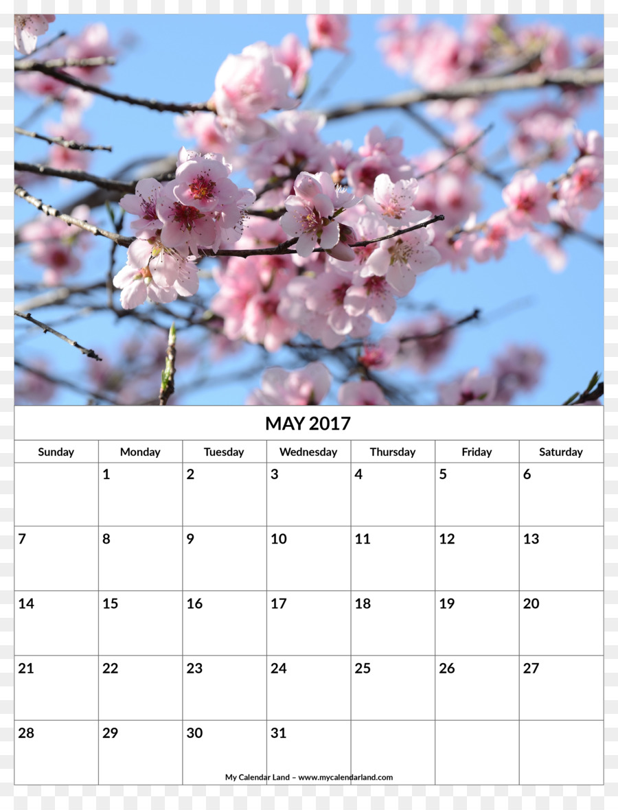 Calendario，No PNG