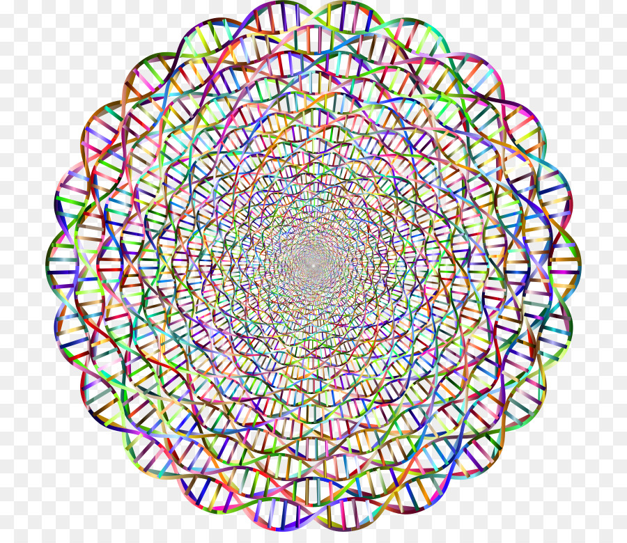 Doble Hélice De Una Cuenta Personal Del Descubrimiento De La Estructura Del Adn，El ácido Nucleico De Doble Hélice PNG