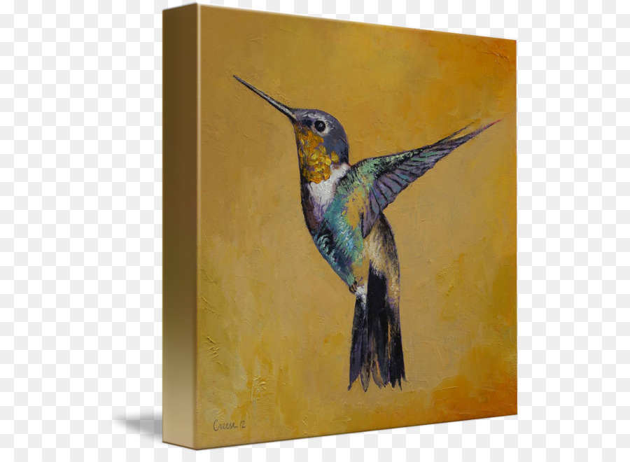 Colibrí，Pintura A La Acuarela PNG