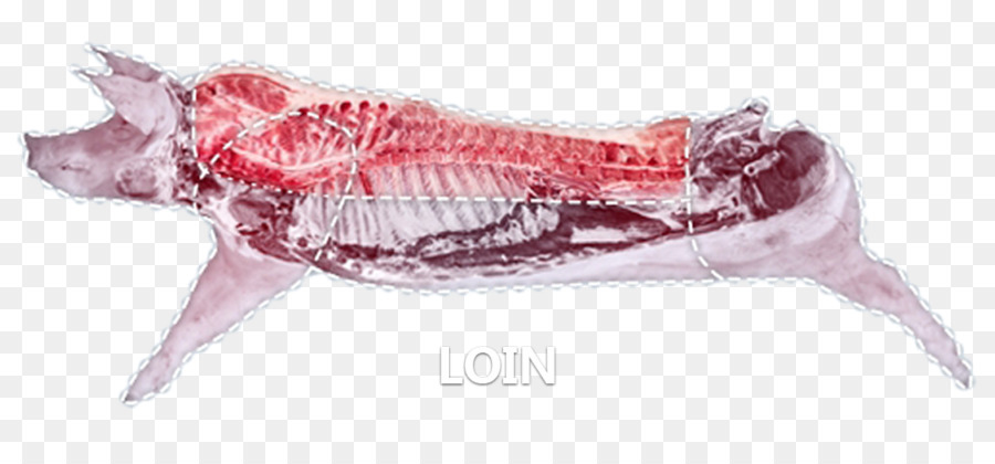 Costillares，Cerdo PNG