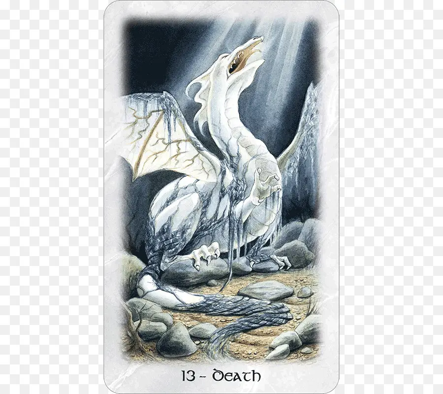 Dragón，Guía Para El Celta Dragón Tarot PNG