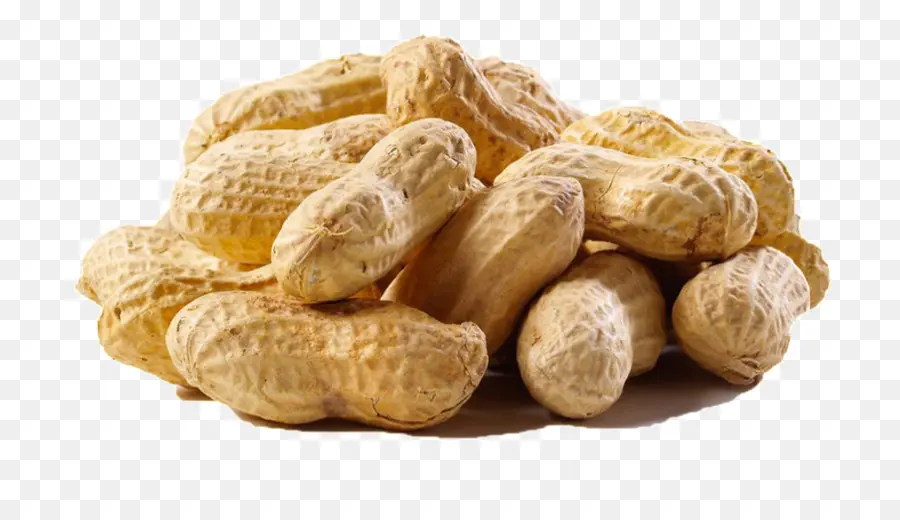 Maní，Galletas De Mantequilla De Maní PNG